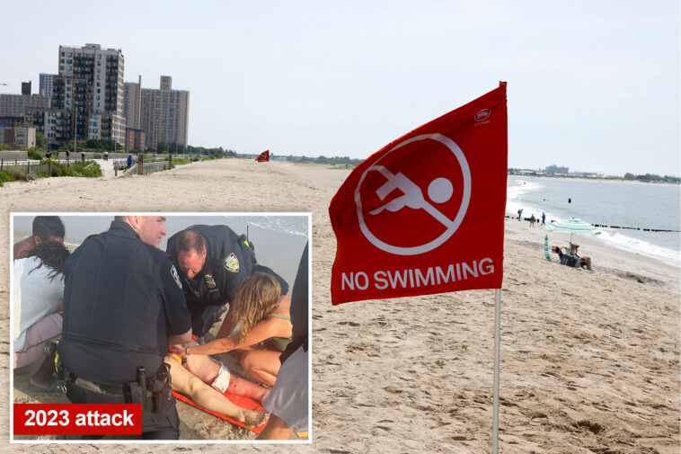 swarm-of-bull-sharks-shut-down-nyc’s-rockaway-beach-during-4th-of-july-weekend-heatwave
