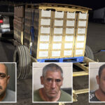 fresno-hit-with-major-peach-heist-—-as-suspect’s-mug-shots-revealed