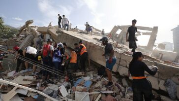 watch:-rescuers-save-dog-trapped-in-rubble-for-5-days-after-venezuela-earthquakes