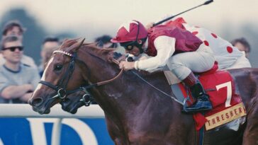 famed-jockey-hospitalized-with-broken-ribs-and-broken-thumb-after-traffic-accident-in-newmarket