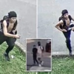 second-heartless-crook-wanted-for-robbing-boston-children’s-lemonade-stand-pictured-by-cops