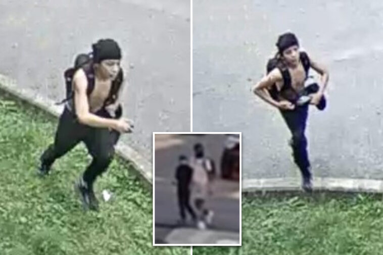 second-heartless-crook-wanted-for-robbing-boston-children’s-lemonade-stand-pictured-by-cops
