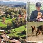 socal-hoa-sues-family-for-protecting-their-pets-from-nighttime-invaders