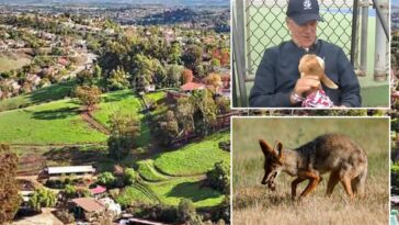 socal-hoa-sues-family-for-protecting-their-pets-from-nighttime-invaders