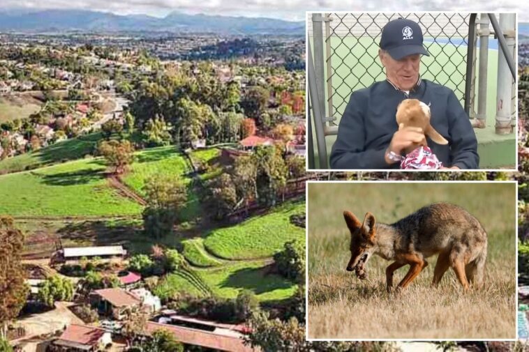 socal-hoa-sues-family-for-protecting-their-pets-from-nighttime-invaders