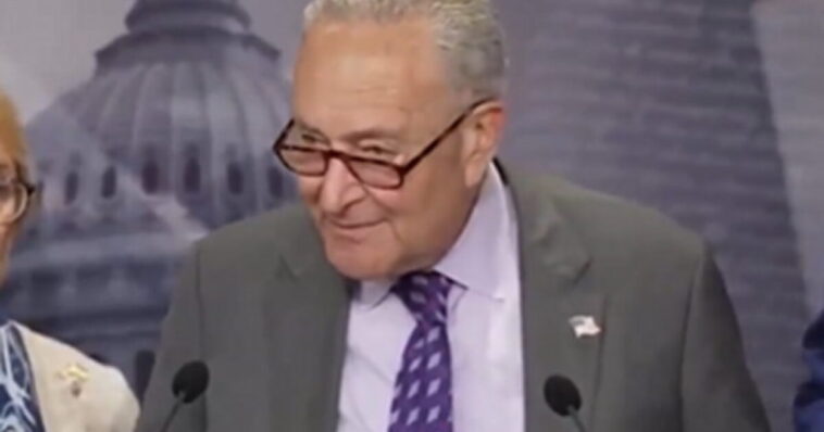 appeals-court-upholds-new-york-‘gas-stove-ban’-that-chuck-schumer-insisted-wasn’t-even-happening