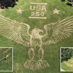alabama-homeowner-creates-most-patriotic-front-lawn-celebrating-america-250-with-bald-eagle-mural