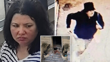 monaco-bomber-who-attacked-russia-linked-oligarch-id’d-as-ukrainian-woman-disguised-as-a-man:-police