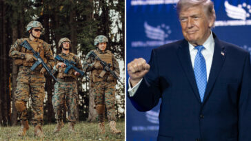 the-us-military-under-president-trump-is-winning-the-war-—-in-the-bedroom,-pentagon-data-reveals