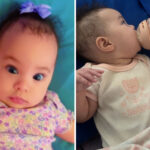 chilling-details-emerge-as-boy-arrested-in-elite-california-college-town-for-killing-baby-girl