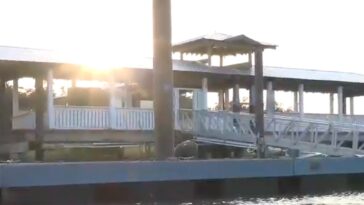 boy,-13,-rushed-to-hospital-after-shark-attack-while-fishing-—-as-boater-recalls-‘traumatic-scene’:-reports