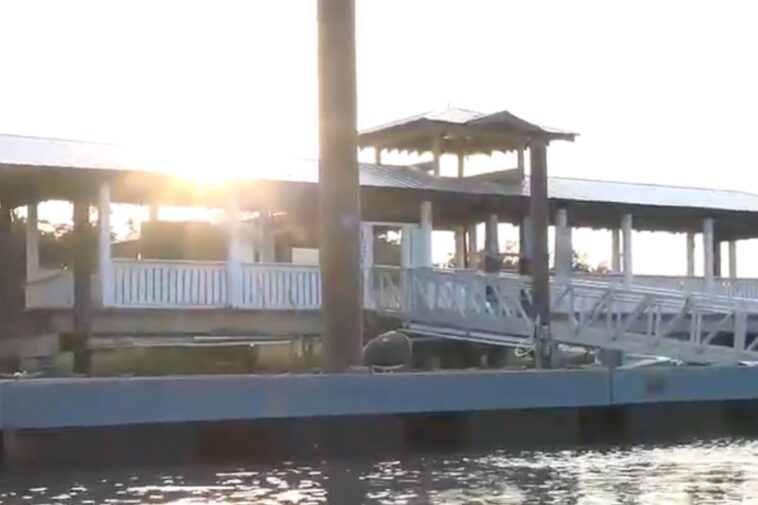 boy,-13,-rushed-to-hospital-after-shark-attack-while-fishing-—-as-boater-recalls-‘traumatic-scene’:-reports