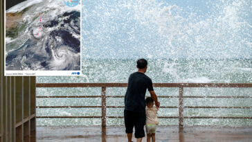 flights-and-ferries-suspended-as-tropical-storm-maysak-slams-china’s-hainan-province