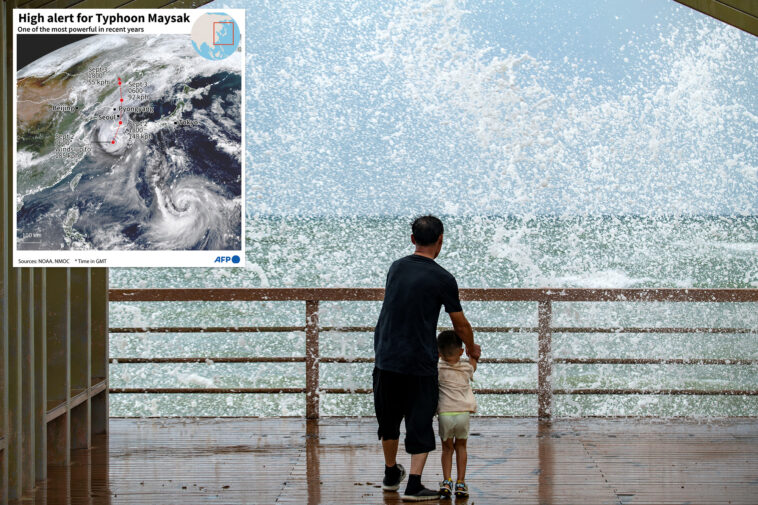 flights-and-ferries-suspended-as-tropical-storm-maysak-slams-china’s-hainan-province