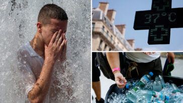 at-least-3,700-excess-deaths-recorded-during-soaring-heatwave-in-france,-belgium-and-netherlands