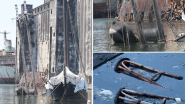 schooner-turned-bar-once-used-by-jacques-cousteau-mysteriously-sinks-in-brooklyn-amid-america-250-festivities
