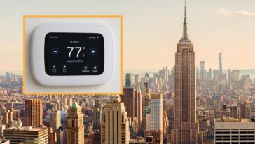 thousands-dead-after-new-york-man-lowers-apartment-temp-to-77-degrees
