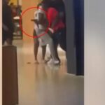 developing:-two-dead,-multiple-people-shot-inside-fairlane-mall-in-dearborn,-michigan-(video)