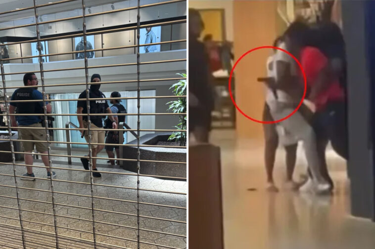 police-swarm-fairlane-town-center-mall-in-michigan-after-shooting-as-shopping-center-locked-down