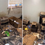 monster-arrested-for-animal-cruelty-after-stomach-churning-discovery-at-california-home