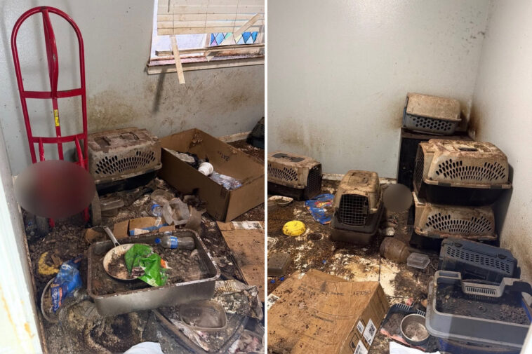monster-arrested-for-animal-cruelty-after-stomach-churning-discovery-at-california-home