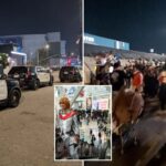 anime-expo-descends-into-madness-as-cops-called-on-cosplayers