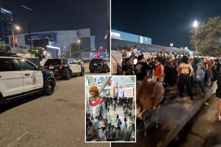 anime-expo-descends-into-madness-as-cops-called-on-cosplayers