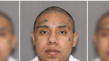 ice-deports-illegal-alien-ms-13-gang-member-with-ties-to-mexican-drug-cartel