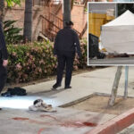horrifying-truth-behind-death-of-man-who-cut-off-his-penis-in-bloody-downtown-la-meltdown