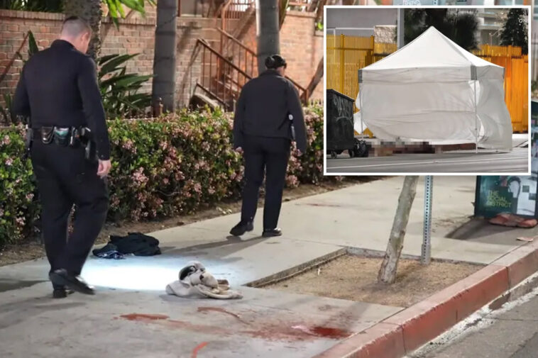 horrifying-truth-behind-death-of-man-who-cut-off-his-penis-in-bloody-downtown-la-meltdown