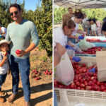 california-fruit-farmer-reveals-results-of-his-massive-nectarine-giveaway:-‘something-none-of-us-could-have-predicted’