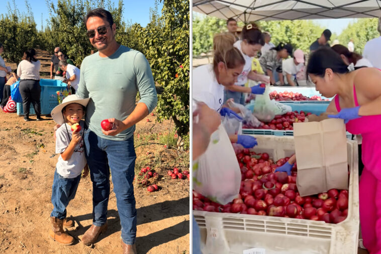california-fruit-farmer-reveals-results-of-his-massive-nectarine-giveaway:-‘something-none-of-us-could-have-predicted’
