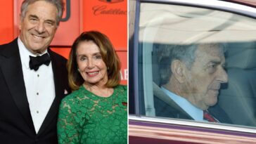 pelosi-family-breaks-silence-on-napa-valley-hit-and-run-crash