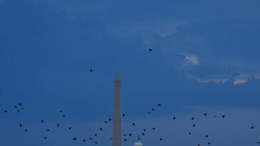 trump-directs-4th-of-july-celebration-on-national-mall-to-reopen-doors,-address-slated-for-11:00-pm.