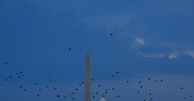 trump-directs-4th-of-july-celebration-on-national-mall-to-reopen-doors,-address-slated-for-11:00-pm.