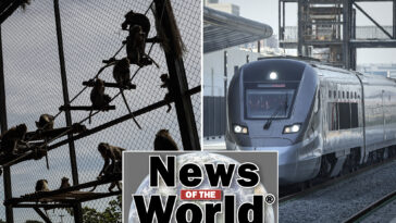 news-of-the-world:-what-you-missed-this-week-internationally