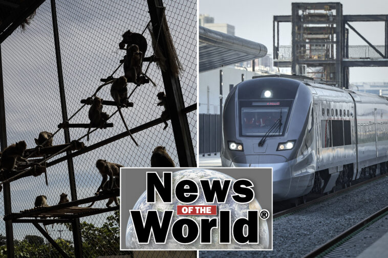 news-of-the-world:-what-you-missed-this-week-internationally