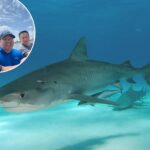 come-hell-or-high-water:-how-three-friends-survived-a-shipwreck-and-a-shark-attack-in-the-gulf-of-mexico