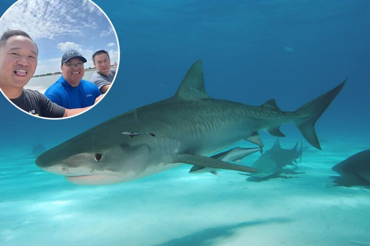 come-hell-or-high-water:-how-three-friends-survived-a-shipwreck-and-a-shark-attack-in-the-gulf-of-mexico