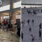 california’s-fourth-of-july-plunges-into-hell-as-stores-looted,-police-horses-charge-and-fires-break-out
