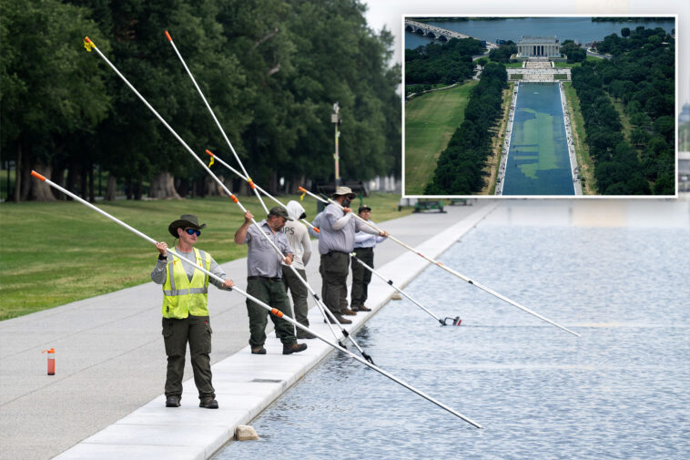 trump-admin-will-use-same-company-to-repair-reflecting-pool’s-damaged-liner,-burgum-says:-‘did-a-fantastic-job’