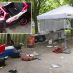 coney-island-mass-shooting-may-have-been-gang-retaliation:-‘they-aimed-for-babies’