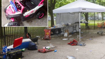 coney-island-mass-shooting-may-have-been-gang-retaliation:-‘they-aimed-for-babies’
