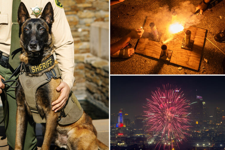k-9-dies-after-being-hit-by-car-when-illegal-fireworks-erupted-in-california