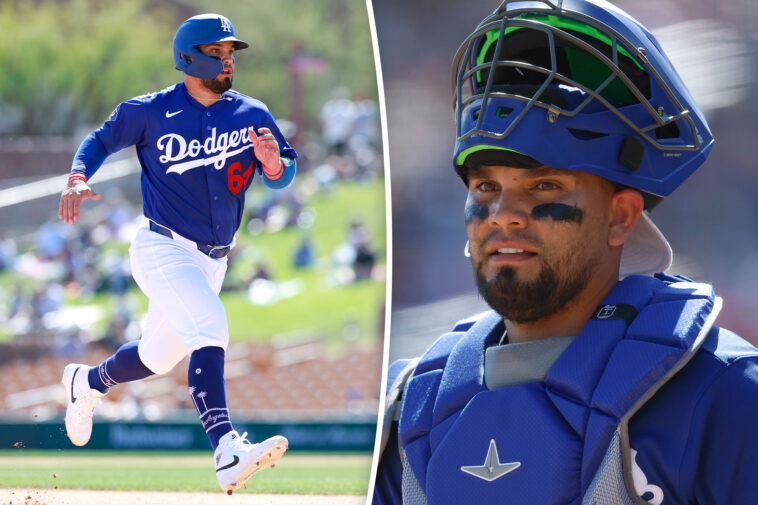 dodgers-catcher-eliezer-alfonzo-to-make-mlb-debut-despite-family-tragedy