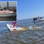 whale-strikes,-sinks-nj-fire-rescue-ship-returning-from-ny-harbor-after-july-4th-festivities