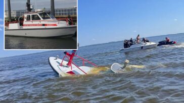 whale-strikes,-sinks-nj-fire-rescue-ship-returning-from-ny-harbor-after-july-4th-festivities