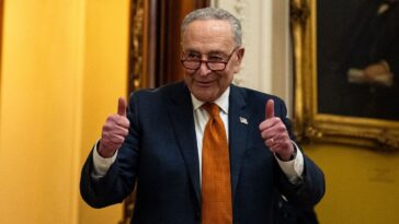 steve-forbes:-chuck-schumer-has-a-beef-with-beef,-but-doesn’t-even-know-how-to-grill-it