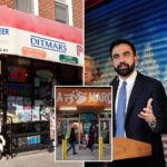 mamdani-officials-scramble-to-ease-concerns-about-public-supermarkets-—-but-local-business-leaders-aren’t-buying-it