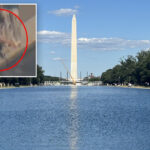 trump-shares-news-of-‘crystal-clear’-reflecting-pool,-calls-for-vandalism-suspect’s-arrest